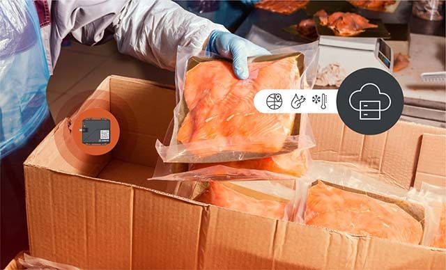 Clear insights on your logistic processes